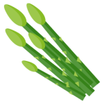 Vegetable